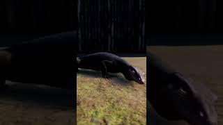 Melanistic Asian Water Monitor | Tropical Pack | Planet Zoo