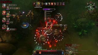 Divinity Original Sin: Enhanced Edition - Призрачный лес: Болото