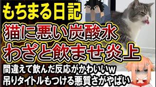 【もちまる日記炎上】猫に刺激物の炭酸水を飲ませて配信。「間違えて飲んだリアクションが可愛い」と嘘タイトルも悪質だと話題に