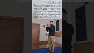 Petrushka - Trumpet excerpts- Daniel Leal