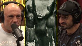 The Bondo Mystery Apes "Bigger than a truck" | Joe Rogan & Paul Rosolie