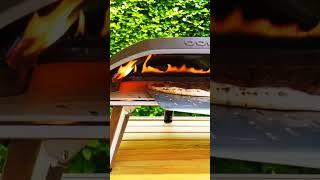 Top Ooni Pizza Cooking Tips!  #got2eatpizza