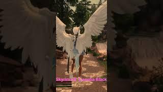 Skyrim SE | Licentia Black Wabbajack Modlist | Hover Enchantment Mod