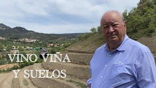 (43) VINO, VIÑA Y SUELOS