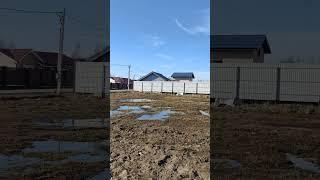 Что делать с порослью ивы?