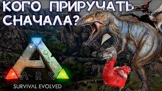 ТОП-11 ЛУЧШИХ ДИНОЗАВРОВ ДЛЯ НОВИЧКОВ В ARK Survival Evolved