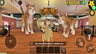 Scary Teacher 3D Special Chapter Update Giant Cats Funny Episode Gameplay