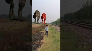 rad dinosaur or black dinosaur attack animation vfx video #dinosaur #vfx #creatureanimation #shorts