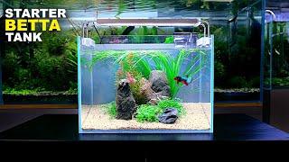 Aquascape Tutorial: ULTIMATE BETTA Nano Tank For Beginners (How To No co2 Planted Tank Step by Step)