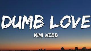 Mimi Webb - Dumb Love (Lyrics)