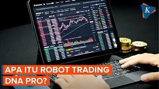 Telan Korban, Apa Itu Robot Trading DNA Pro?