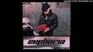 [FREE] NoCap Loop Kit - Euphoria (NoCap, Rylo Rodriguez, NBA YoungBoy, Toosii, Rod Wave)
