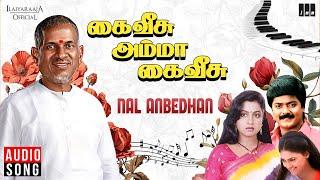 Nal Anbedhan Song | Kai Veesamma Kai Veesu | Ilaiyaraaja | Murali | Radhika | Nirosha | KS Chithra