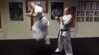 shorin kempo honbu Sifu McInnes Jumping Back Kick