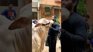 Paras Ke Sath akhiri lamhat