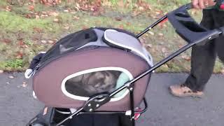 ibiyaya 5 in 1 Pet Carrier + Backpack