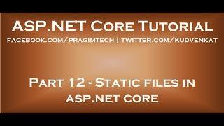 Static files in asp net core