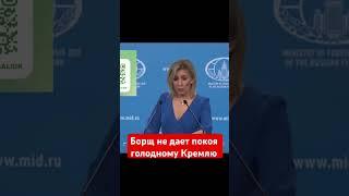 #цимбалюк #борщ #захарова #войнаукраина #путин #зеленский #зсу #всу #украина #украинароссия #нато