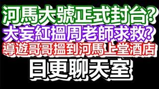 2024-11-07！河馬大號正式收皮！原來河馬髮同周文強同款？直播了！！日更聊天室！｜#日更頻道  #何太 #何伯 #東張西望