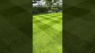 It must be fake  #lawncare #lawncarecommunity