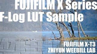 FUJIFILM X Series F-Log LUT Sample  - FUJI XシリーズF-Log LUTサンプルムービー -