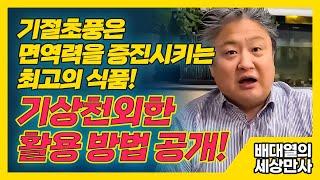 기절초풍은 면역력을 증진시키는 최고의 식품! 기상천외한 활용방법 공개! [배대열의 세상만사]