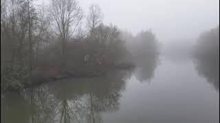 Misty park volg mij voor meer