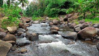 Peaceful River Flow Surrounded by Rocky Terrain - Perfect for Deep Sleep, Focus and Relaxation