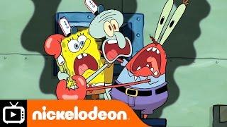 SpongeBob SquarePants | Eek an Urchin! | Nickelodeon UK