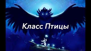 Урок "Класс Птицы" - ЦТ, ЕГЭ, ЗНО