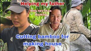 Rainy day || day with my father cutting bamboo for making house || blood over flow|working two of us