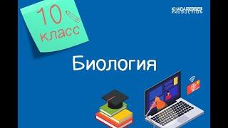 Биология. 10 класс. Основные функции компонентов клетки /26.10.2020/