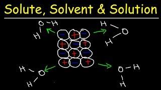 Solute, Solvent, & Solution -  Solubility Chemistry