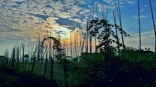 Sublime nature - Beautiful piano music to relax.