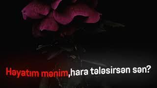 Heyatim menim hara telesirsen sen? PNG x HADID - Gəl (Lyrics Video) WhatsApp- Status