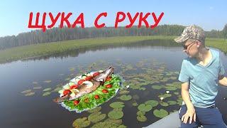 Рыбалка на щуку с руку. Малый Рефт