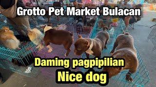 Grotto Pet Market bulacan 