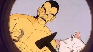 Dragonball -  Mercenary Tao and Korin