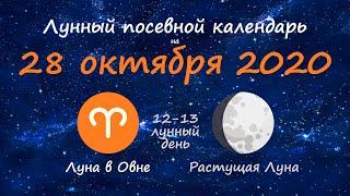 [28 октября 2020] Лунный посевной календарь огородника-садовода | Флористикс Инфо