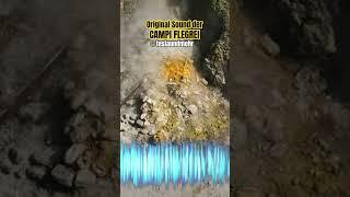 CAMPI FLEGRE: Der Originale Sound 