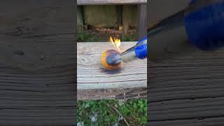 Orange vs. Torch. Fire resistant orange??? #orange #torch #fire #short #fighting #1911 #pewpew