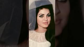 Priscilla Presley Through The Years #shorts #transformation #evolution #antesydespues #throwback