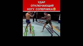 Удар отключающий ногу соперника,  #ufc273 #ufc  #мма