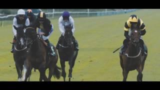 Family & Friends at Great Yarmouth Racecourse