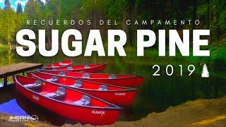 Recuerdos del Campamento "Sugar Pine" 2019