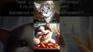 коты и сосиски #юмор #приколыскотами #прикол #мем