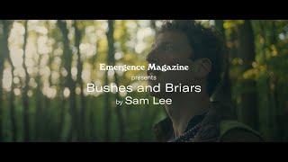 Sam Lee - Bushes and Briars (Official Music Video) in association with Emergence Magazine