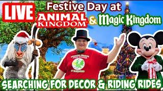 Live: Jolly Day at Animal Kingdom & Magic Kingdom - Lightning Lane Fun - Disney World Livestream