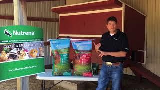 Nature Wise Layer 16% Chicken Feed