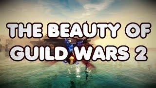 The Beauty of Guild Wars 2 | JessTheStardustCharr